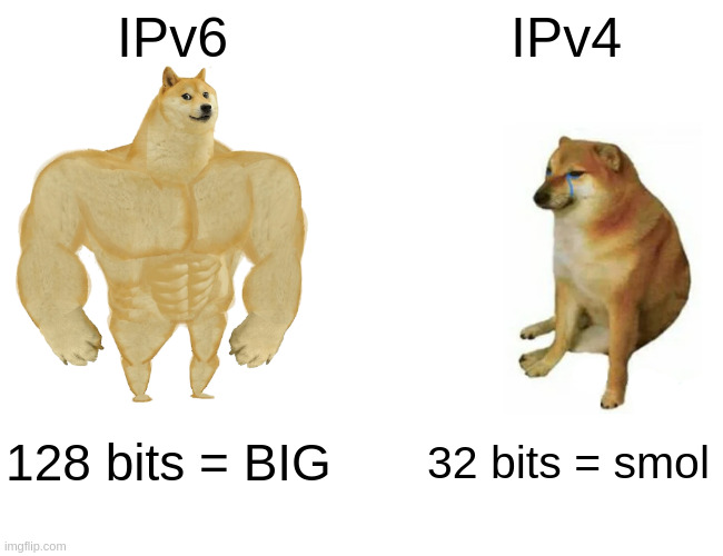 swol doge at 128 bits is larger than cheems doge at 32 bits