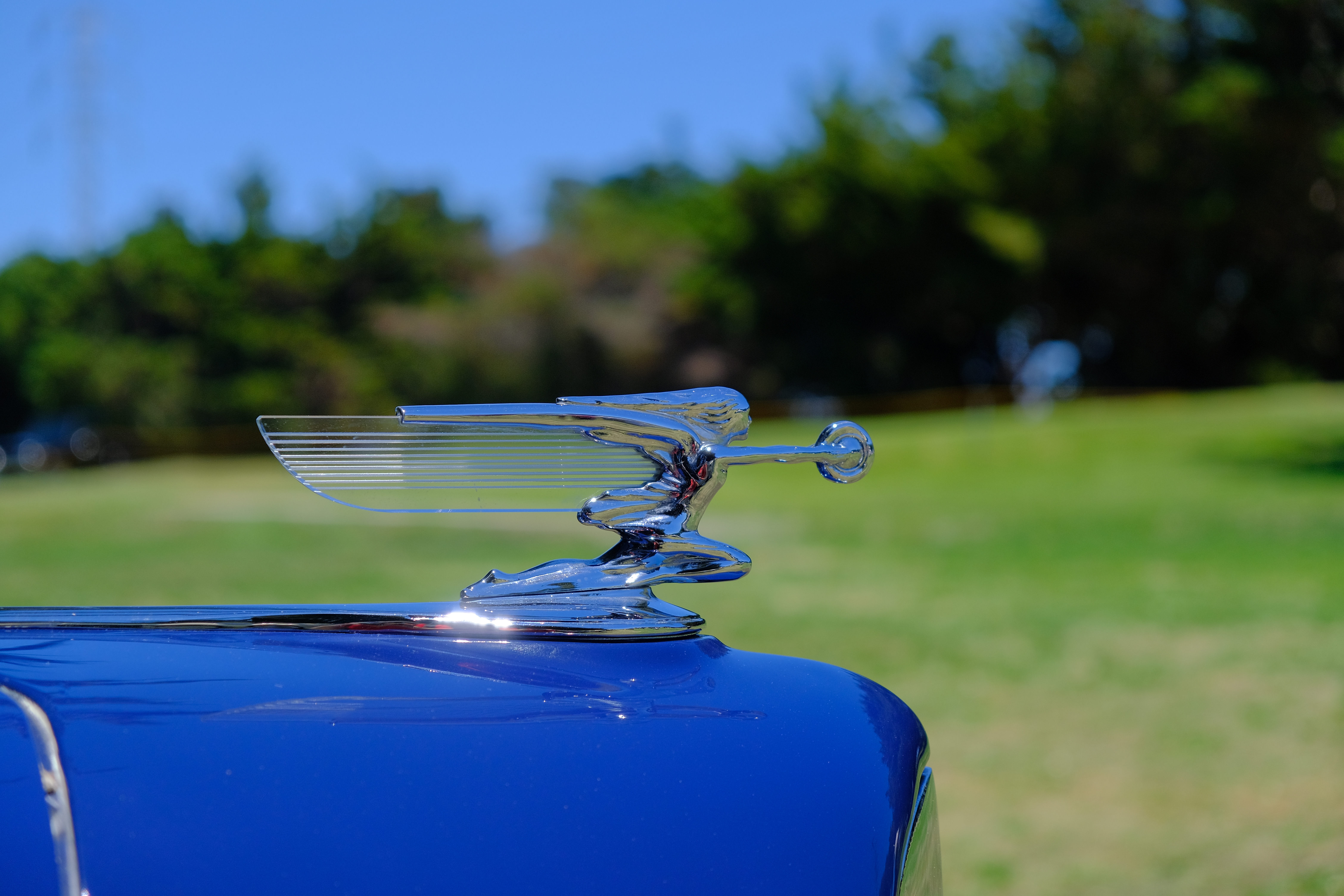 picture of a blue Packard hood ornament