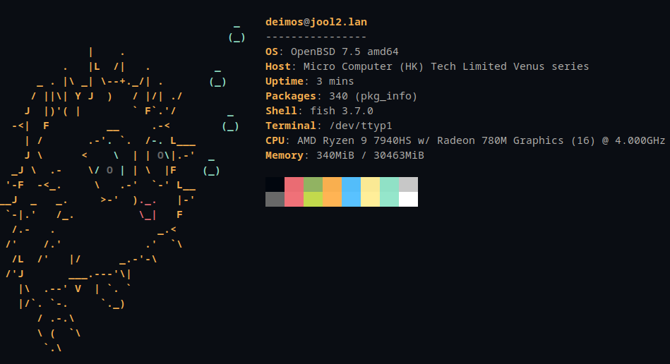 neofetach showing OpenBSD sys info